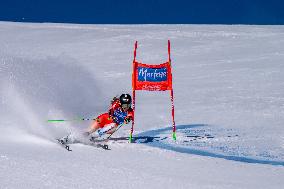 SPORT INVERNALI - Sci Alpino - 2026 Audi FIS Ski World Cup - Women's Giant Slalom