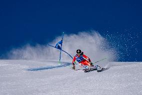SPORT INVERNALI - Sci Alpino - 2026 Audi FIS Ski World Cup - Women's Giant Slalom