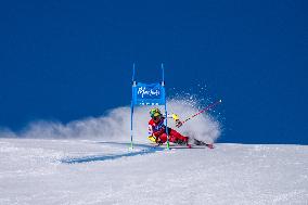 SPORT INVERNALI - Sci Alpino - 2026 Audi FIS Ski World Cup - Women's Giant Slalom