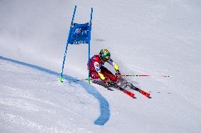 SPORT INVERNALI - Sci Alpino - 2026 Audi FIS Ski World Cup - Women's Giant Slalom