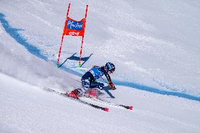 SPORT INVERNALI - Sci Alpino - 2026 Audi FIS Ski World Cup - Women's Giant Slalom