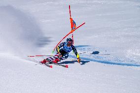 SPORT INVERNALI - Sci Alpino - 2026 Audi FIS Ski World Cup - Women's Giant Slalom