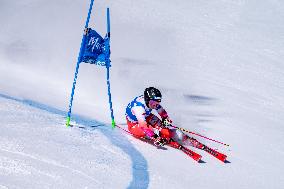 SPORT INVERNALI - Sci Alpino - 2026 Audi FIS Ski World Cup - Women's Giant Slalom