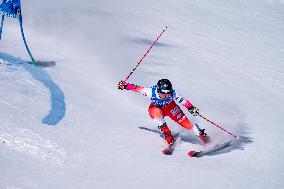 SPORT INVERNALI - Sci Alpino - 2026 Audi FIS Ski World Cup - Women's Giant Slalom