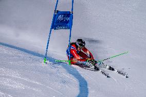 SPORT INVERNALI - Sci Alpino - 2026 Audi FIS Ski World Cup - Women's Giant Slalom