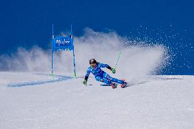 SPORT INVERNALI - Sci Alpino - 2026 Audi FIS Ski World Cup - Women's Giant Slalom