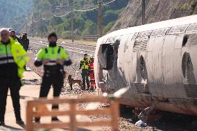 Train Derailment Aftermath - Adamuz