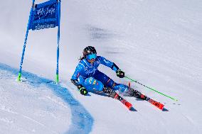 SPORT INVERNALI - Sci Alpino - 2026 Audi FIS Ski World Cup - Women's Giant Slalom