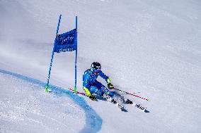 SPORT INVERNALI - Sci Alpino - 2026 Audi FIS Ski World Cup - Women's Giant Slalom