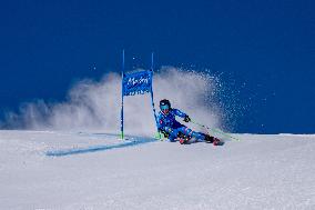 SPORT INVERNALI - Sci Alpino - 2026 Audi FIS Ski World Cup - Women's Giant Slalom