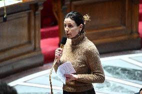 Session of Questions to The Government - Paris