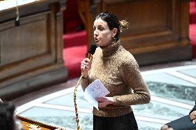 Session of Questions to The Government - Paris