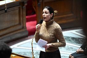 Session of Questions to The Government - Paris