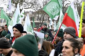 Farmers Demonstrate Against the EU-Mercosur Agreement - Strasbourg