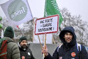 Farmers Demonstrate Against the EU-Mercosur Agreement - Strasbourg