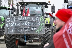 Farmers Demonstrate Against the EU-Mercosur Agreement - Strasbourg