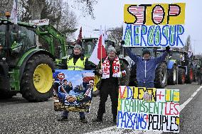 Farmers Demonstrate Against the EU-Mercosur Agreement - Strasbourg