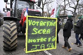 Farmers Demonstrate Against the EU-Mercosur Agreement - Strasbourg