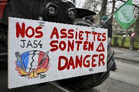 Farmers Demonstrate Against the EU-Mercosur Agreement - Strasbourg
