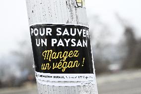 Farmers Demonstrate Against the EU-Mercosur Agreement - Strasbourg