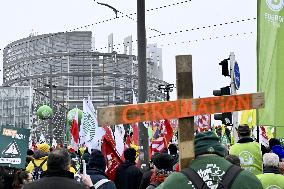 Farmers Demonstrate Against the EU-Mercosur Agreement - Strasbourg