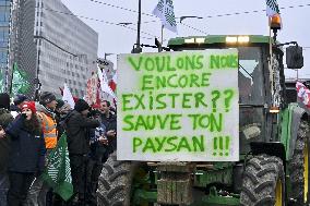 Farmers Demonstrate Against the EU-Mercosur Agreement - Strasbourg