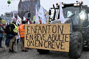 Farmers Demonstrate Against the EU-Mercosur Agreement - Strasbourg