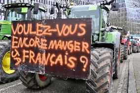 Farmers Demonstrate Against the EU-Mercosur Agreement - Strasbourg
