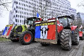 Farmers Demonstrate Against the EU-Mercosur Agreement - Strasbourg