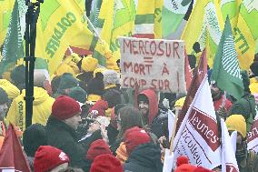 Farmers Demonstrate Against the EU-Mercosur Agreement - Strasbourg