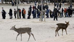 Ruling on shooter of ex-Japan PM Abe