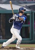 Baseball: Lions vs. Eagles