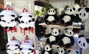 Final viewing day for Ueno zoo pandas