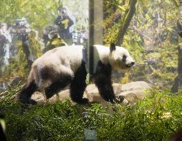 Final viewing day for Ueno zoo pandas