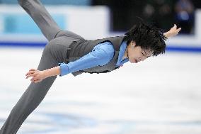 Figure skating: Four Continents championships