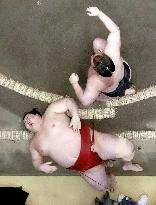 New Year Grand Sumo Tournament