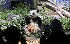 Final viewing day for Ueno zoo pandas