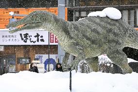 Heavy snow in Fukui