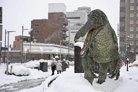 Heavy snow in Fukui