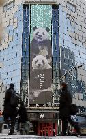 China return for Ueno zoo pandas