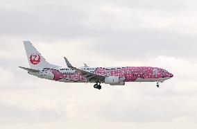 Japan Transocean Air (JTA) aircraft image