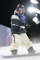 Milan Cortina Olympics