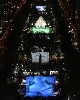 Sapporo Snow Festival