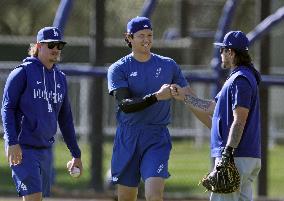 Baseball: MLB training