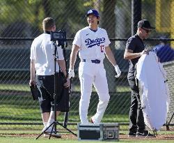 Baseball: MLB training