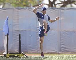 Baseball: MLB training