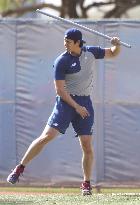 Baseball: MLB training