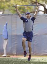 Baseball: MLB training