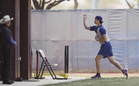 Baseball: MLB training