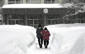 General election in Japan